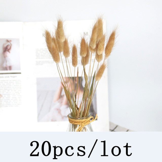 Bulrush Natural Dried Flowers Artificial Plants Branch Colorful INS Pampas Grass Phragmites Fake Flower Wedding Home Decoration