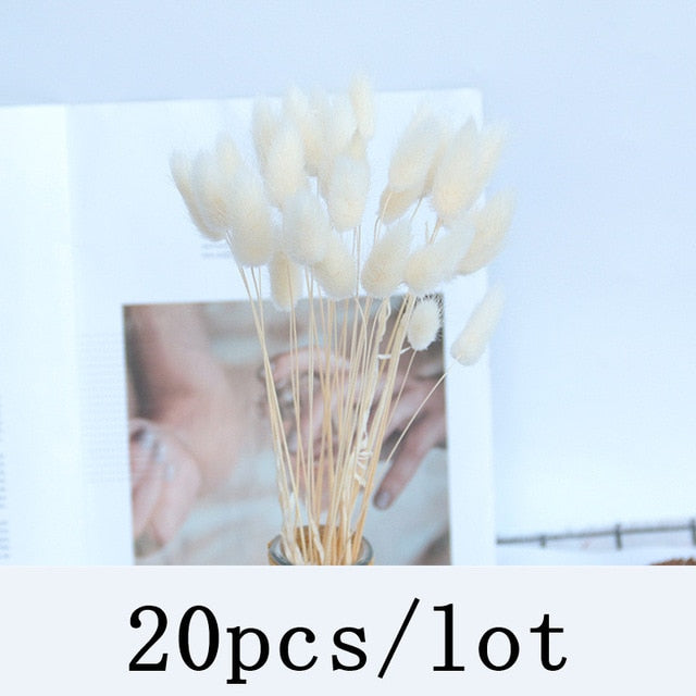 Bulrush Natural Dried Flowers Artificial Plants Branch Colorful INS Pampas Grass Phragmites Fake Flower Wedding Home Decoration