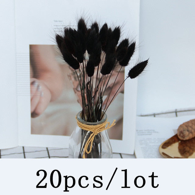 Bulrush Natural Dried Flowers Artificial Plants Branch Colorful INS Pampas Grass Phragmites Fake Flower Wedding Home Decoration