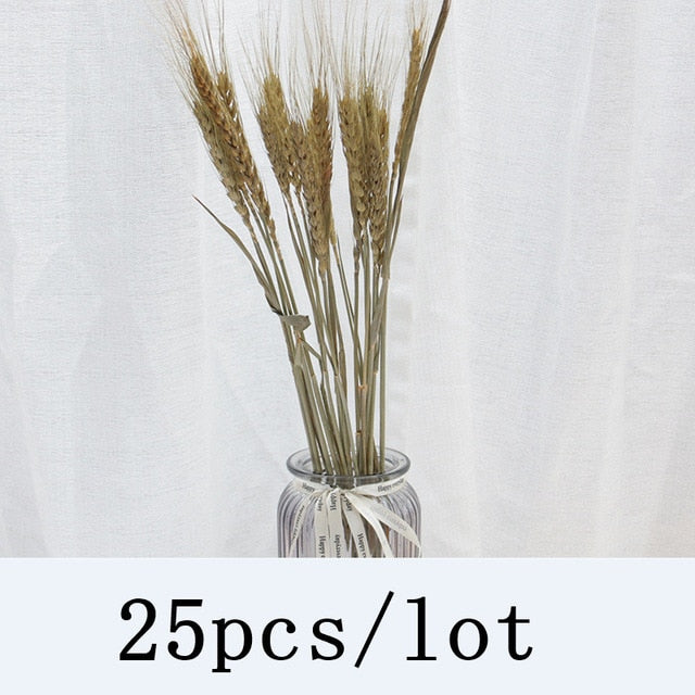 Bulrush Natural Dried Flowers Artificial Plants Branch Colorful INS Pampas Grass Phragmites Fake Flower Wedding Home Decoration