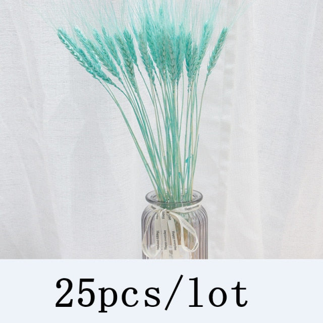 Bulrush Natural Dried Flowers Artificial Plants Branch Colorful INS Pampas Grass Phragmites Fake Flower Wedding Home Decoration