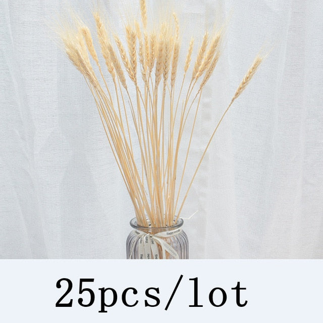 Bulrush Natural Dried Flowers Artificial Plants Branch Colorful INS Pampas Grass Phragmites Fake Flower Wedding Home Decoration