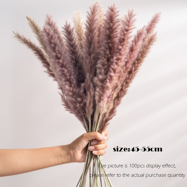 Real Wheat Decoration Natural Pampas Rabbit Tail Grass Dried Flowers For Wedding Party DIY Craft Typha Lagurus ovatus Phragmites