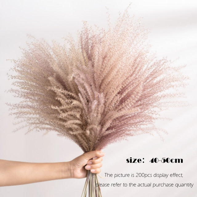 Real Wheat Decoration Natural Pampas Rabbit Tail Grass Dried Flowers For Wedding Party DIY Craft Typha Lagurus ovatus Phragmites