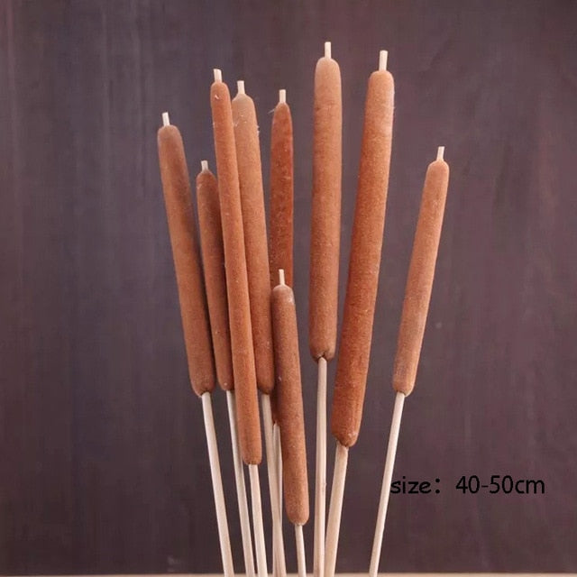 Real Wheat Decoration Natural Pampas Rabbit Tail Grass Dried Flowers For Wedding Party DIY Craft Typha Lagurus ovatus Phragmites