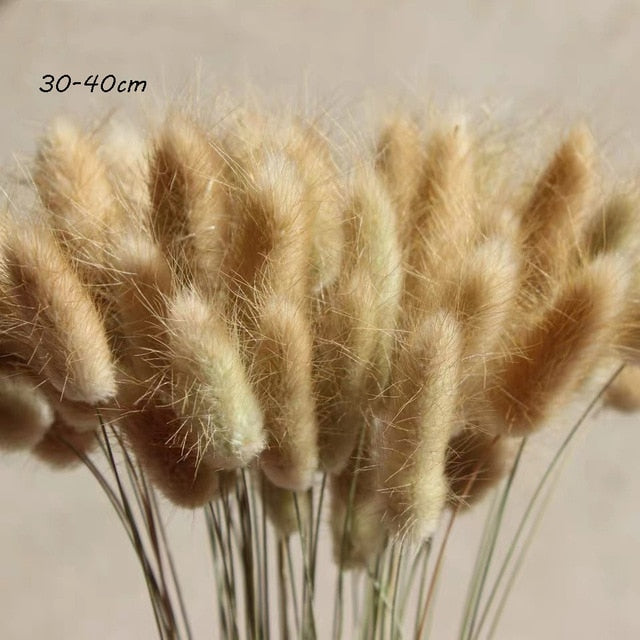 Real Wheat Decoration Natural Pampas Rabbit Tail Grass Dried Flowers For Wedding Party DIY Craft Typha Lagurus ovatus Phragmites